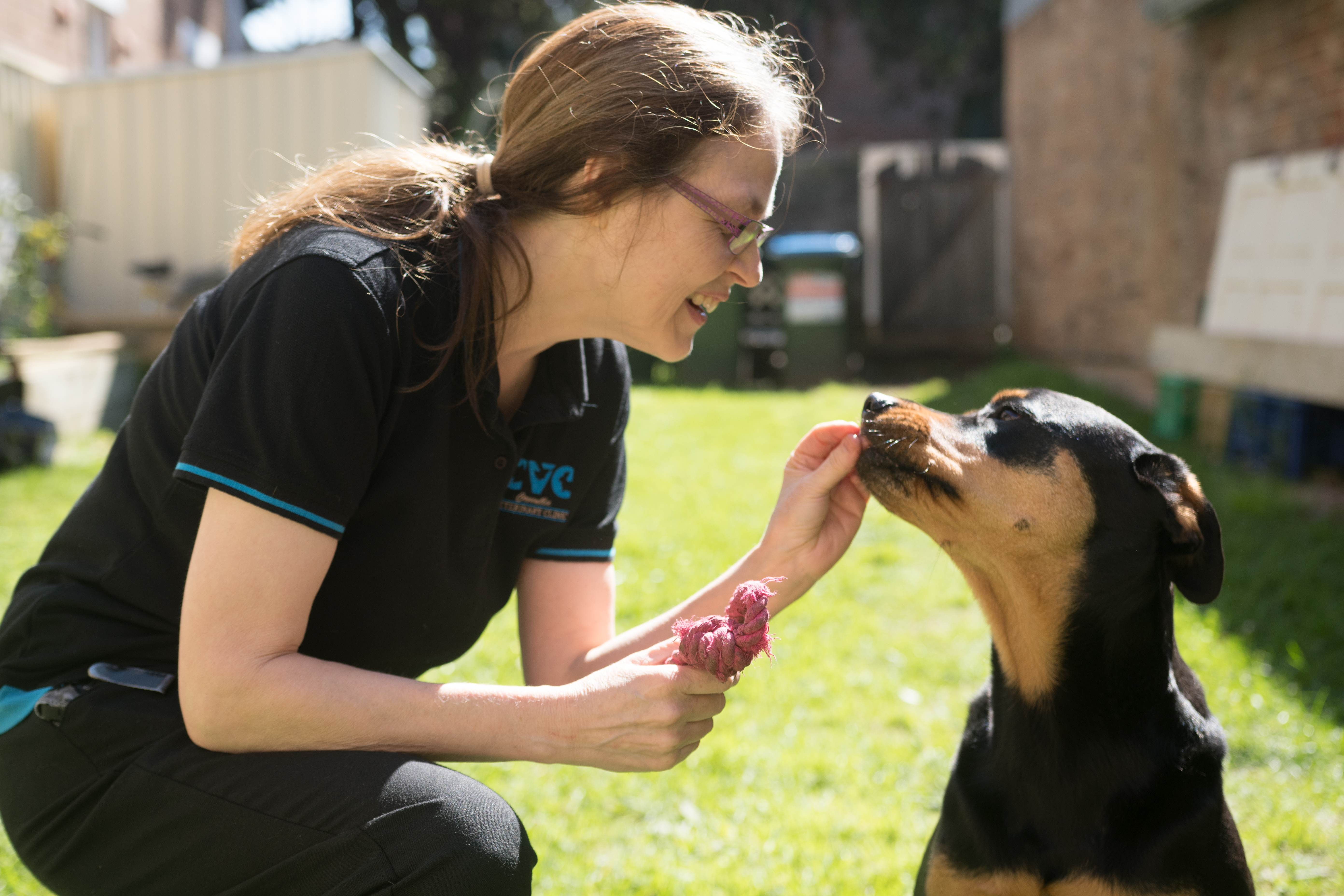 dr bell veterinarian