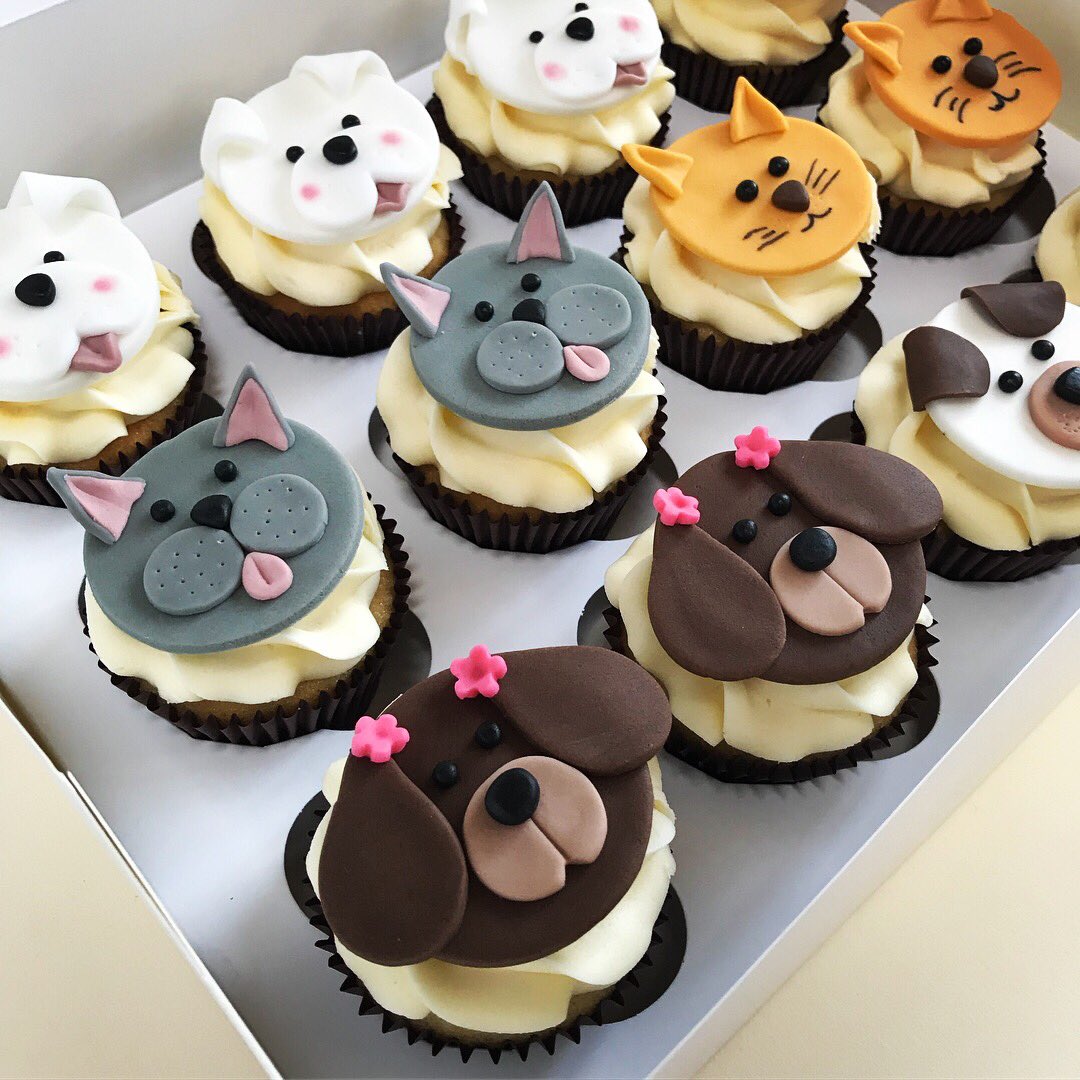 Cat and clearance dog cupcakes